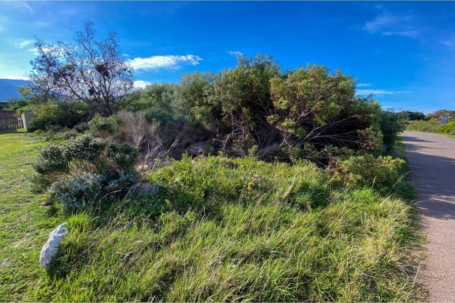 0 Bedroom Property for Sale in Bettys Bay Western Cape